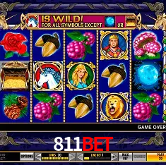 811bet Rio de Janeiro - Bonus Terms